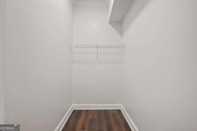 walk in closet with dark wood-type flooring