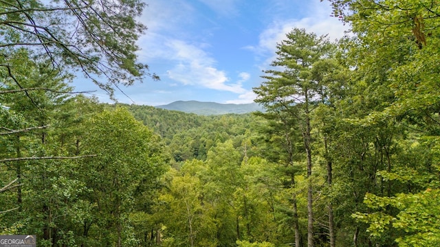 view of mountain feature