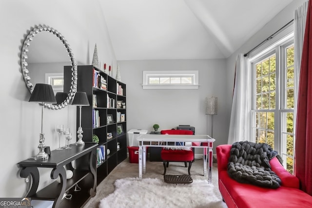 office space featuring carpet floors and vaulted ceiling