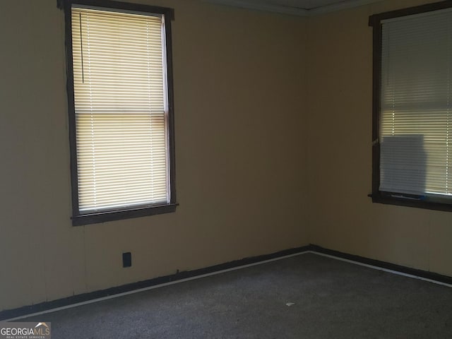 carpeted spare room featuring crown molding