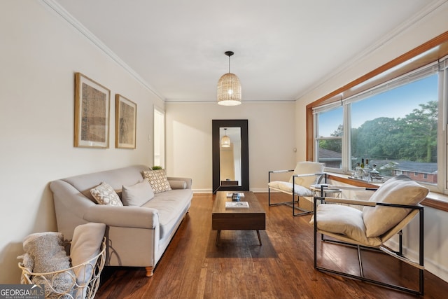 living room with ornamental molding and dark hardwood / wood-style floors