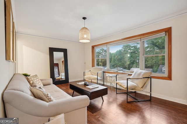 living room with dark hardwood / wood-style flooring