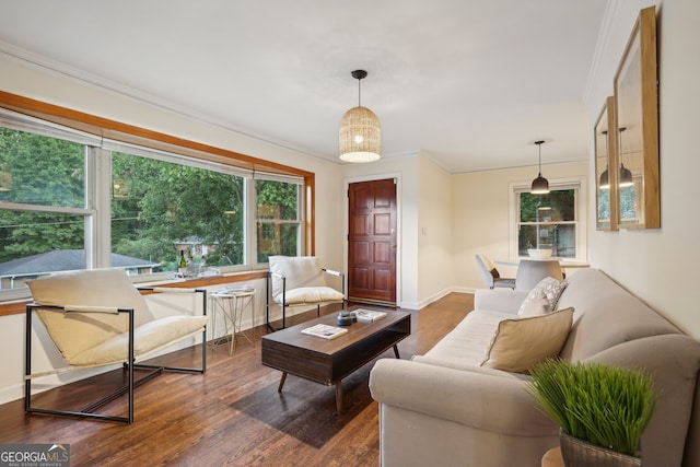 living room featuring dark hardwood / wood-style floors and crown molding