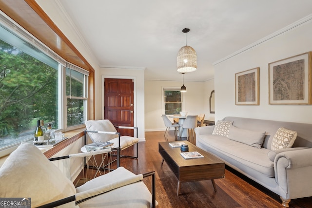 living room featuring crown molding and dark hardwood / wood-style flooring