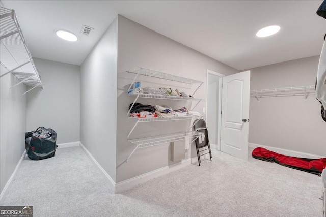 spacious closet with carpet flooring