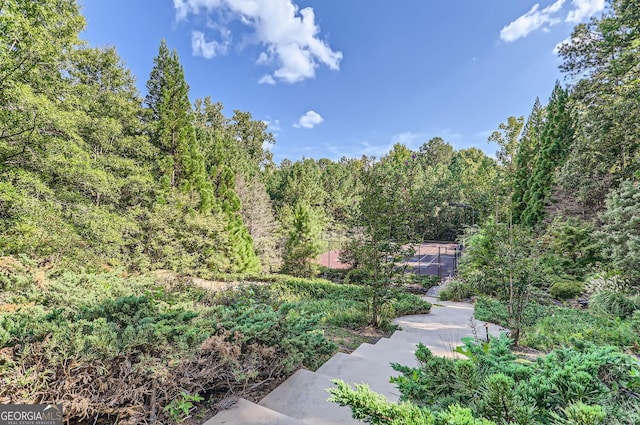 9620 Cedar Grove Rd, Fairburn, GA 30213 - surrounding community with a wooded view