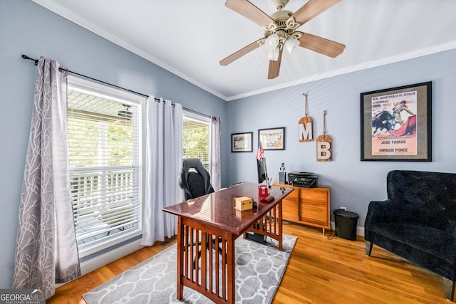 home office featuring wood-type flooring, ceiling fan, and crown molding