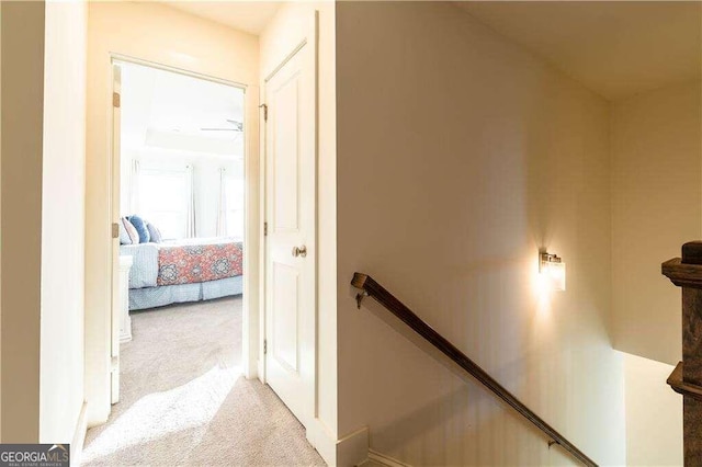 hallway featuring light colored carpet