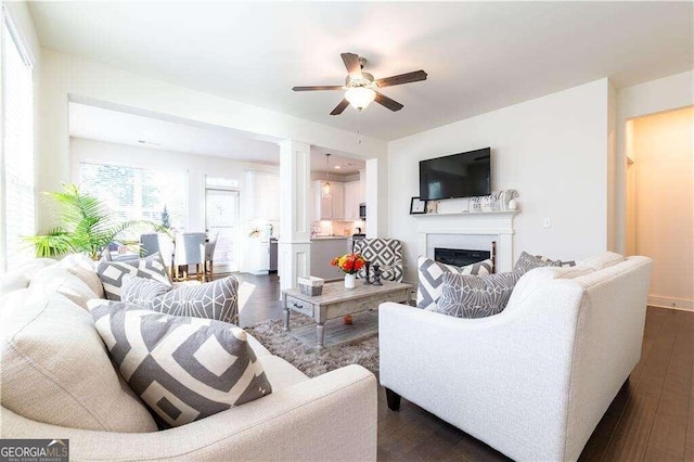 living room with ceiling fan and dark hardwood / wood-style flooring