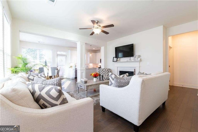 living room with ceiling fan and dark hardwood / wood-style flooring