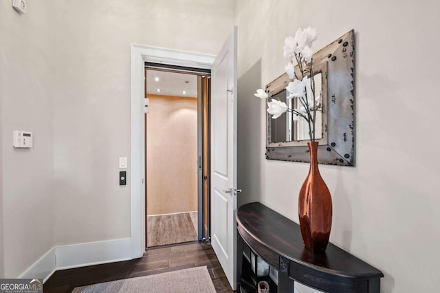 hallway featuring dark hardwood / wood-style flooring