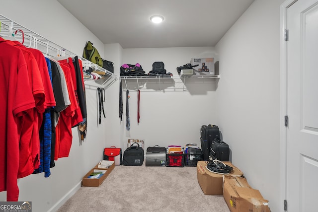 spacious closet with carpet