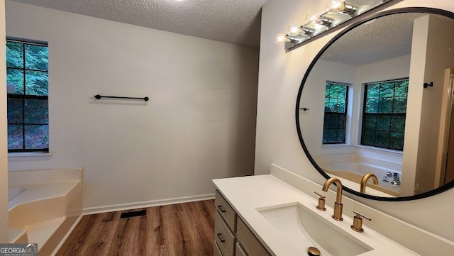 bathroom featuring wood-type flooring, a textured ceiling, vanity, and a washtub