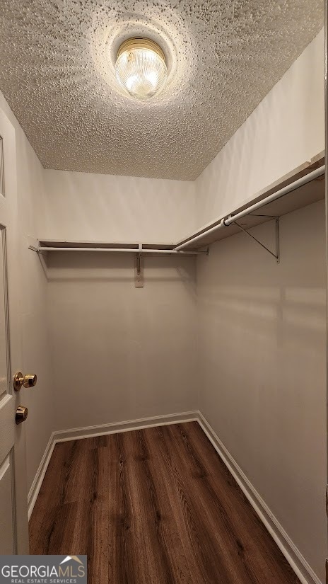 walk in closet featuring dark hardwood / wood-style flooring