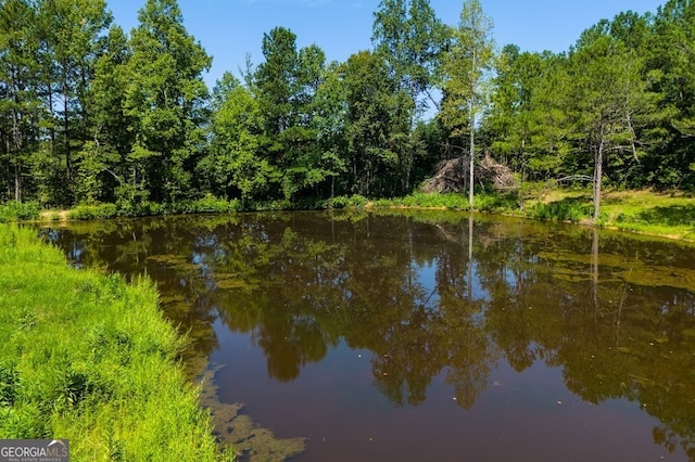 view of water feature