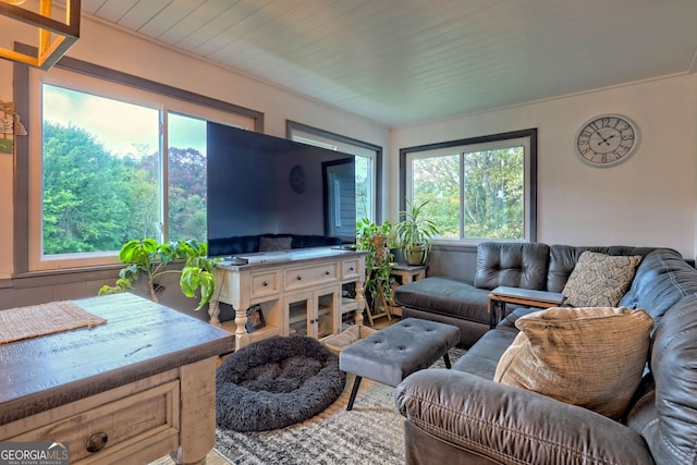 living room featuring a wealth of natural light