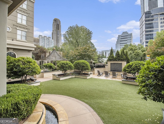 view of yard featuring a patio area