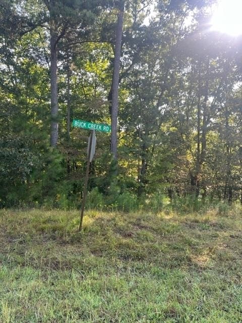 LT32 Buck Creek Rd, Ellijay GA, 30540 land for sale