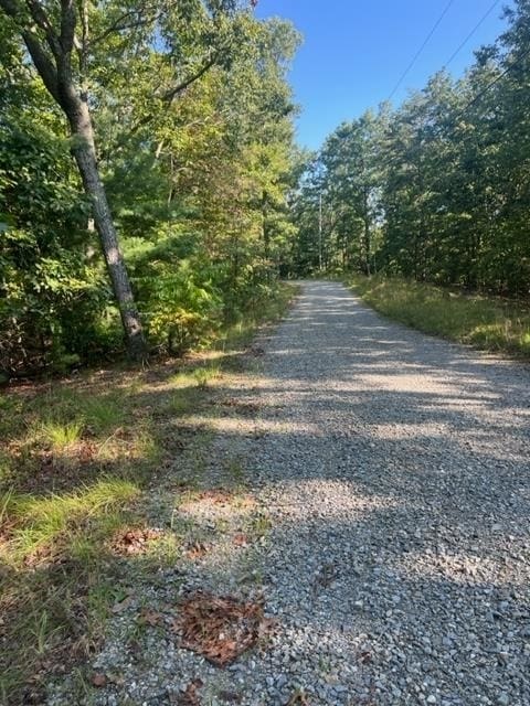 Listing photo 2 for LT32 Buck Creek Rd, Ellijay GA 30540