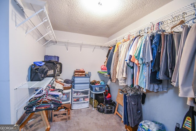 spacious closet featuring carpet floors