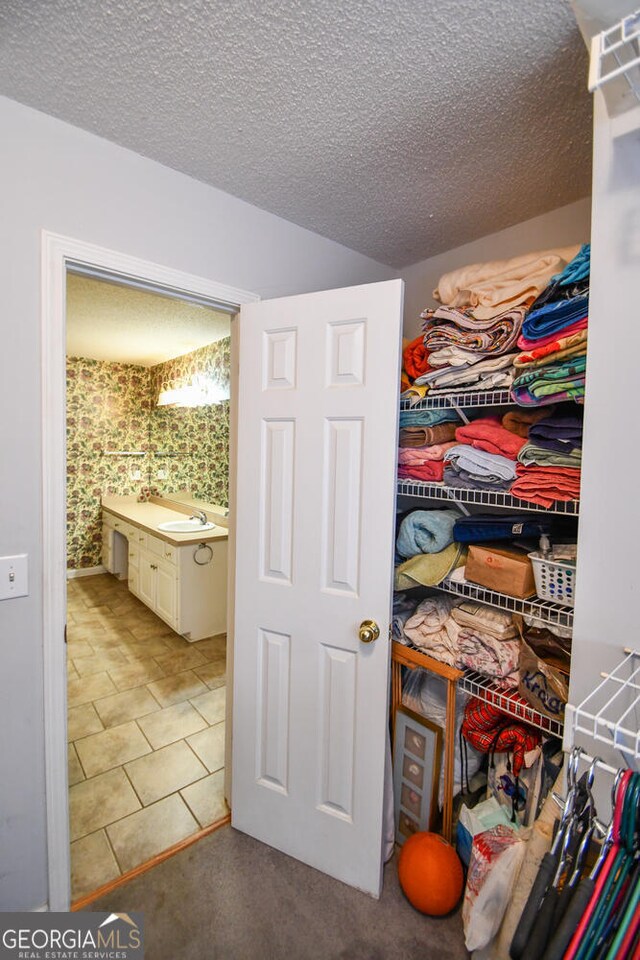 spacious closet with sink