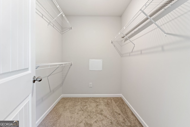 spacious closet featuring carpet floors