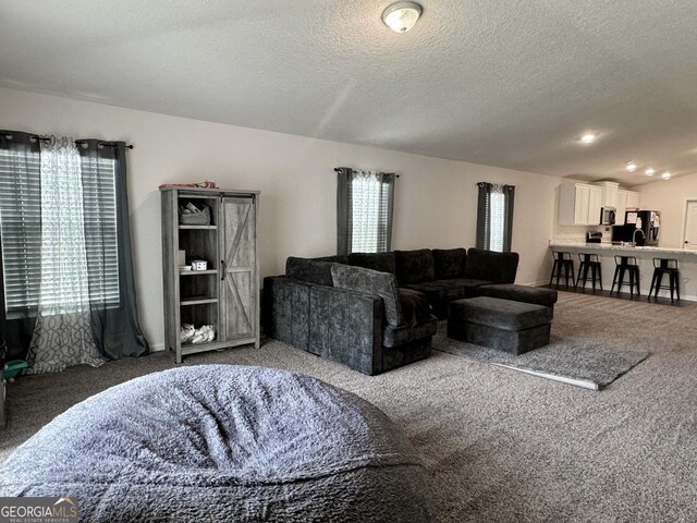 living room featuring a textured ceiling and carpet flooring