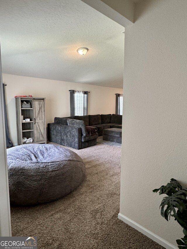 bedroom with a textured ceiling and carpet floors