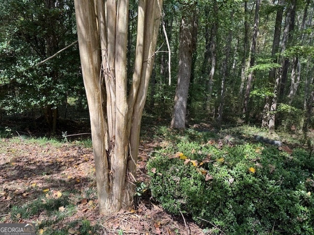 view of local wilderness