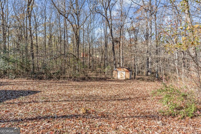 view of yard with a storage shed