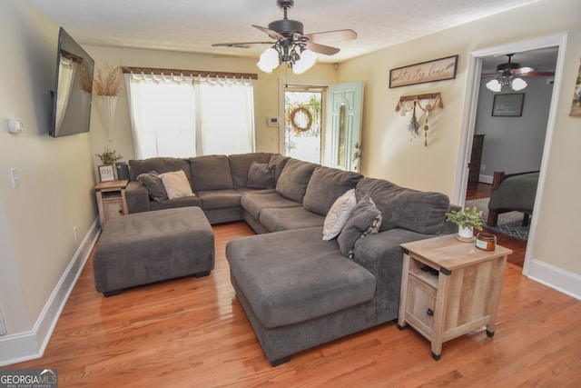 living room with light hardwood / wood-style floors and ceiling fan