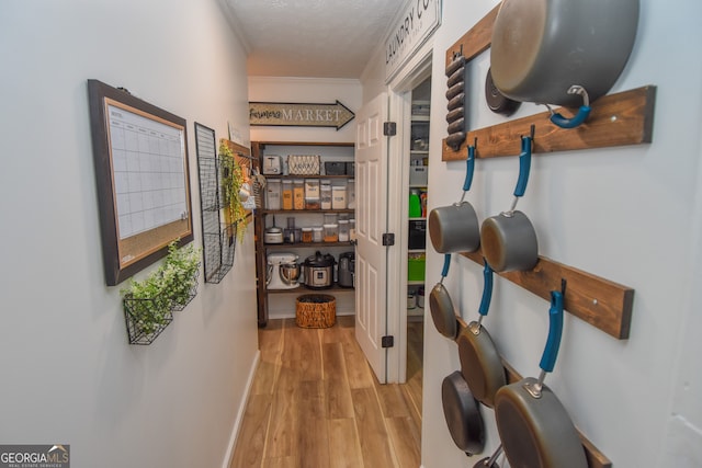 corridor featuring light hardwood / wood-style floors, crown molding, and a textured ceiling