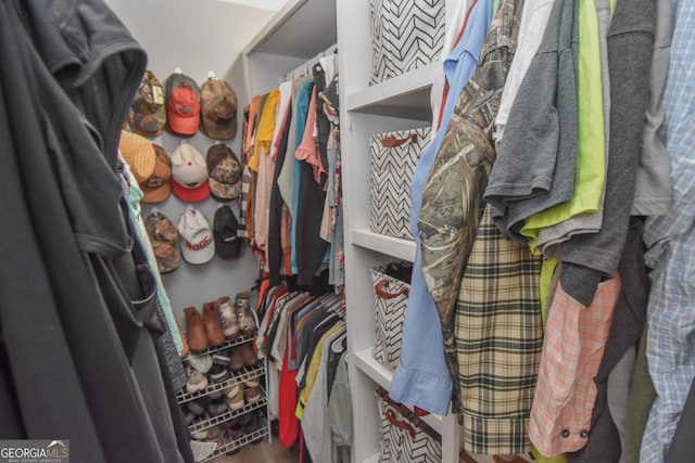 view of walk in closet