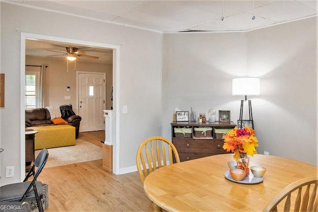 living room featuring ceiling fan and light hardwood / wood-style floors