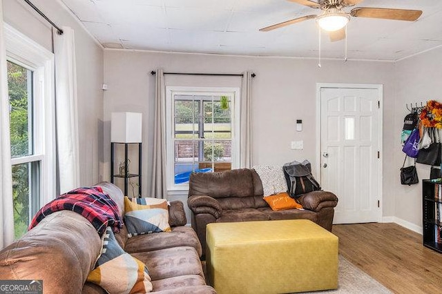 living room with ceiling fan and wood-type flooring