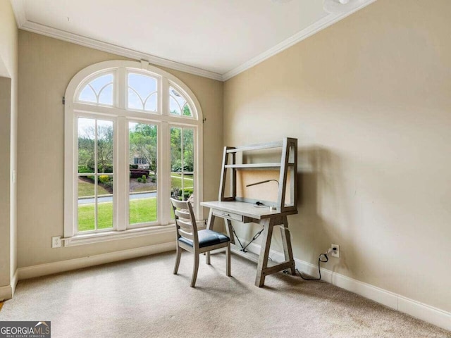 carpeted home office featuring crown molding