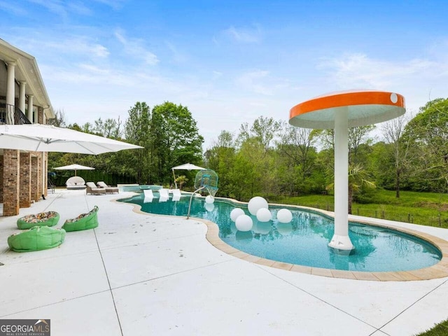 view of pool featuring a patio