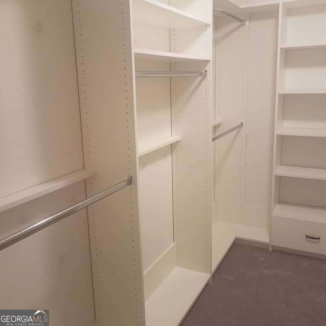 walk in closet with carpet flooring