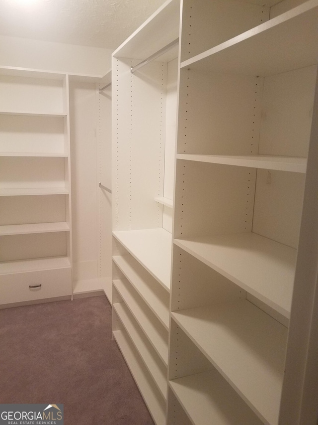 spacious closet featuring carpet