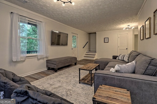 living room with wood-type flooring, a textured ceiling, and crown molding