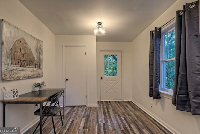 foyer entrance featuring dark hardwood / wood-style floors