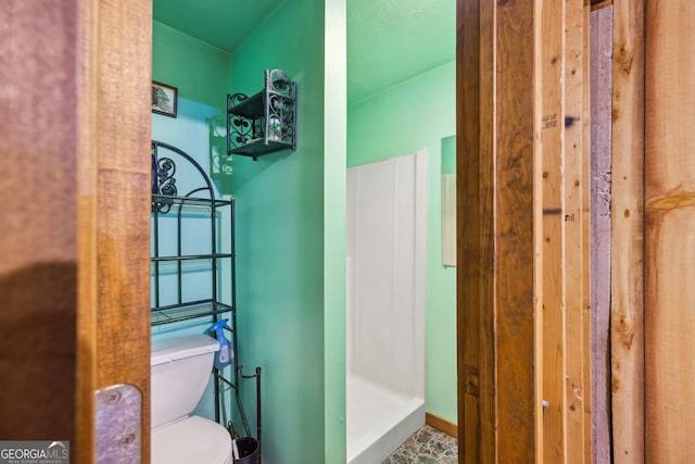 bathroom with a shower and toilet