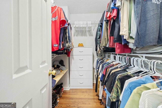 spacious closet with light hardwood / wood-style floors