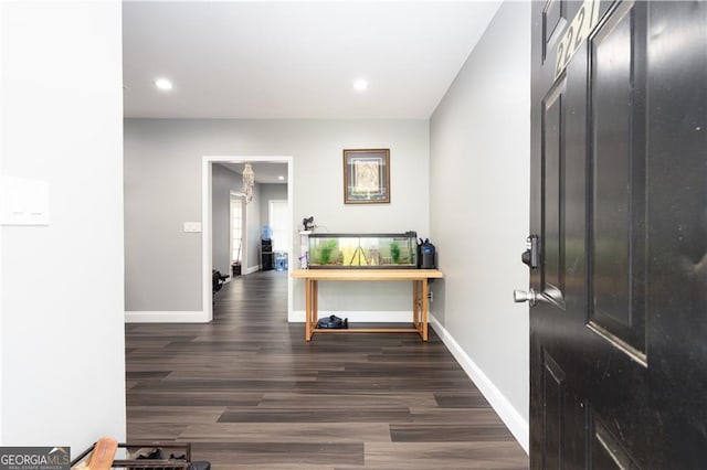 entryway with dark hardwood / wood-style floors