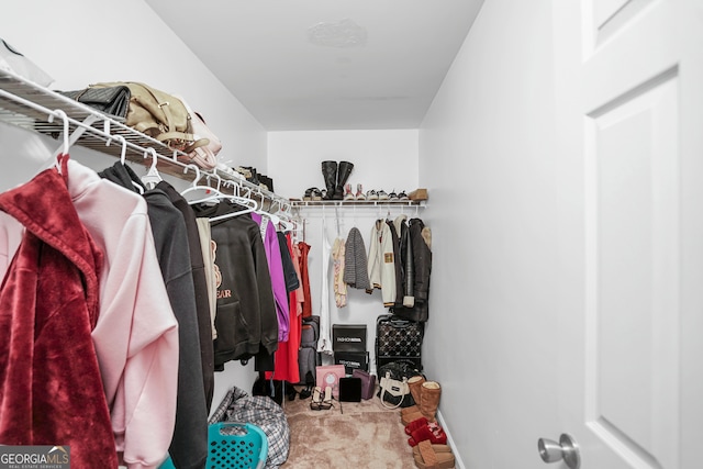 walk in closet featuring carpet flooring