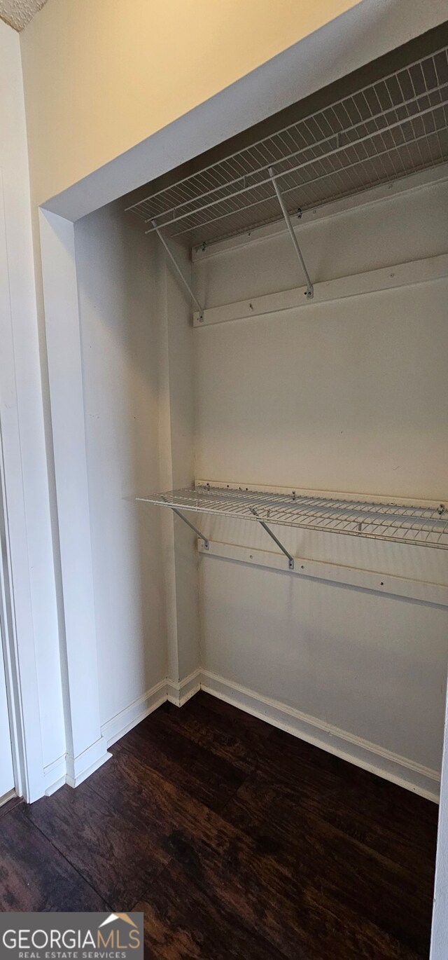 spacious closet with dark wood-type flooring