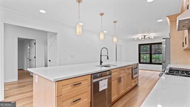 kitchen with appliances with stainless steel finishes, light brown cabinets, light hardwood / wood-style flooring, and sink