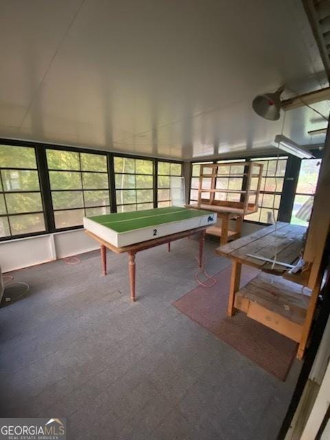 game room with carpet and plenty of natural light