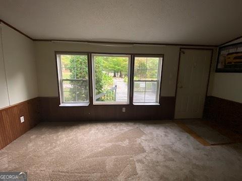 spare room featuring a textured ceiling, light colored carpet, and wood walls