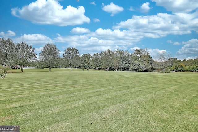 view of home's community with a lawn